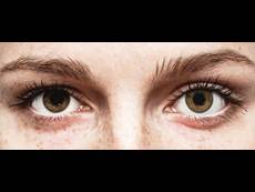 FreshLook ColorBlends Pure Hazel - недіоптричні (2 шт.)