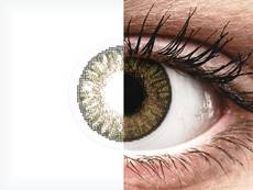 FreshLook ColorBlends Pure Hazel - недіоптричні (2 шт.)