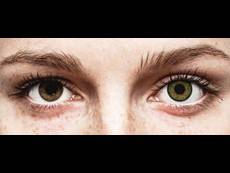 FreshLook One Day Color Green - діоптричні (10 шт.)