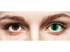 CRAZY LENS - Cat Eye Green - Одноденні недіоптричні (2 шт.)
